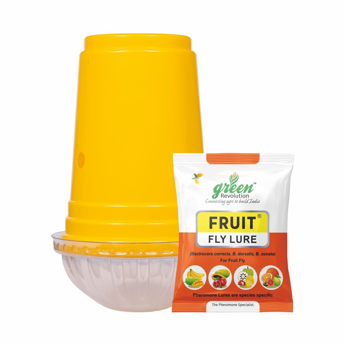 Yellow IPM Trap + Fruit Fly Lure