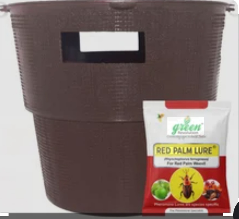 Bucket Trap + Red Palm Lure